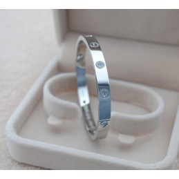 優れた品質の女性用クラシックチタンバングル